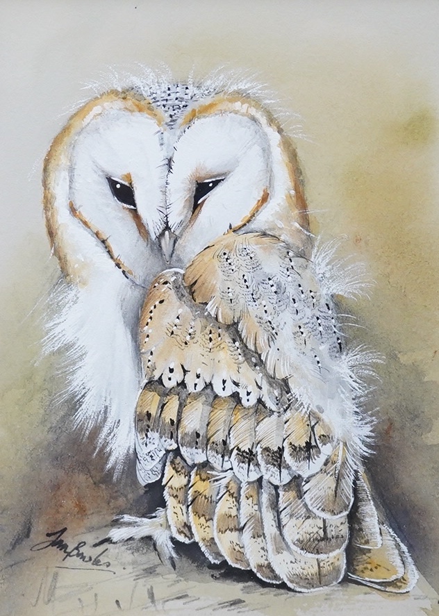 Ian Bowles (1947-2018), two watercolours, Tawny owl chick and Barn owl chick, each signed, 17.5 x 13cm. Condition - good